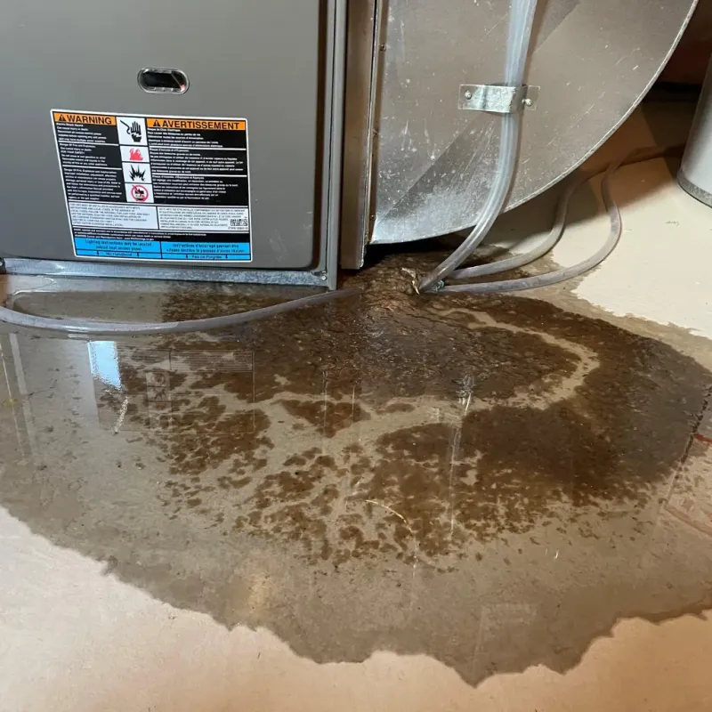 Appliance Leak Cleanup in Harbor Bluffs, FL